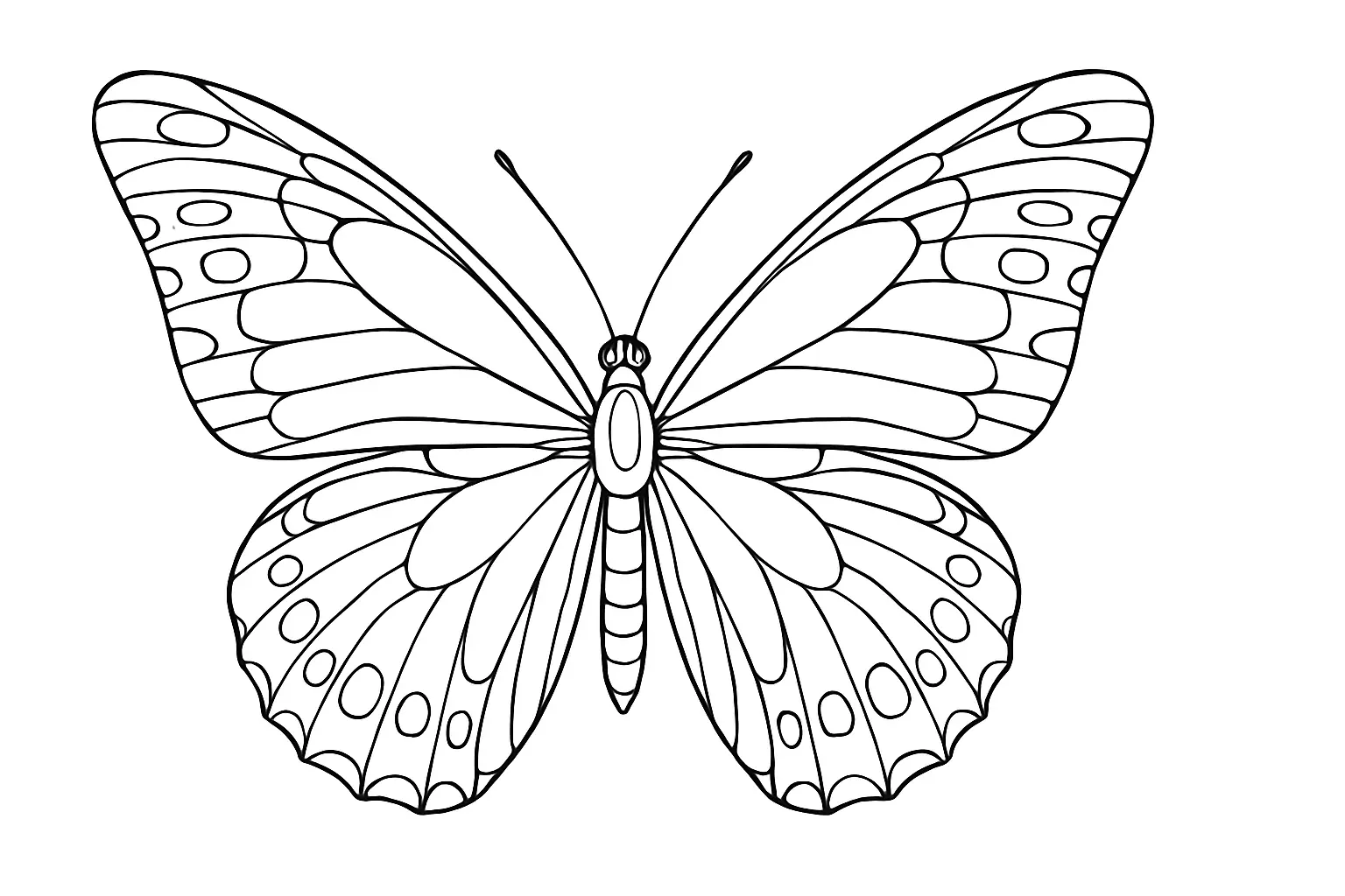 Butterfly Coloring Page Free