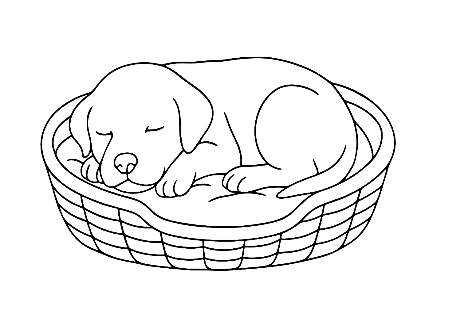 Cute Puppy Sleeping in a Basket
