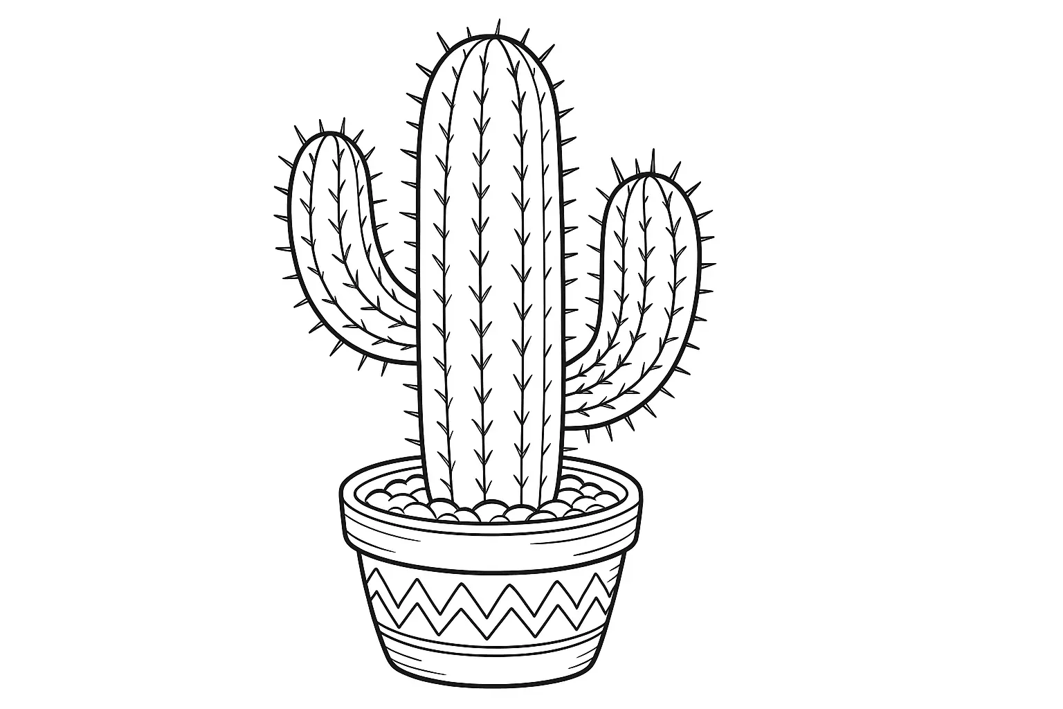 Desert Plant Cactus