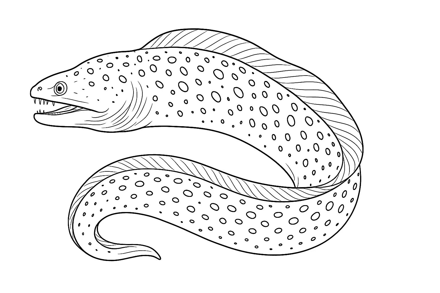 Moray Eel Coloring Page: Free PDF Template for You