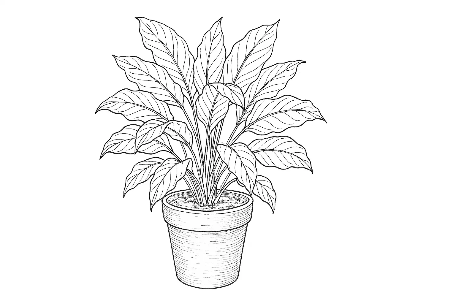 Peace Lily Coloring Page: Potted Plant Template