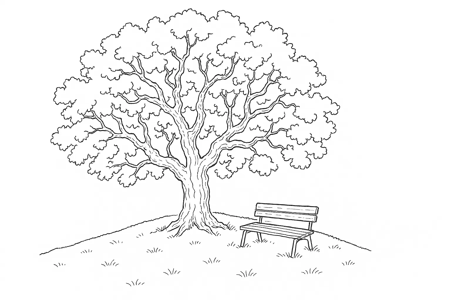 Shady Tree – Peaceful Coloring Page with Bench