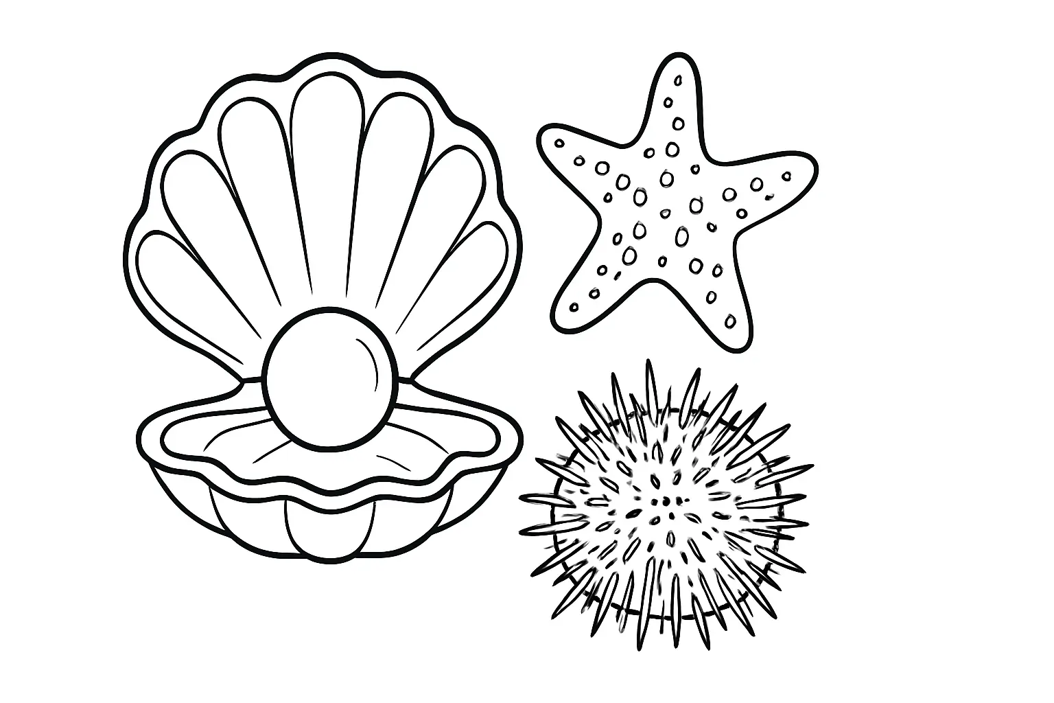 Shell with Pearl, Starfish & Sea Urchin – Coloring Page