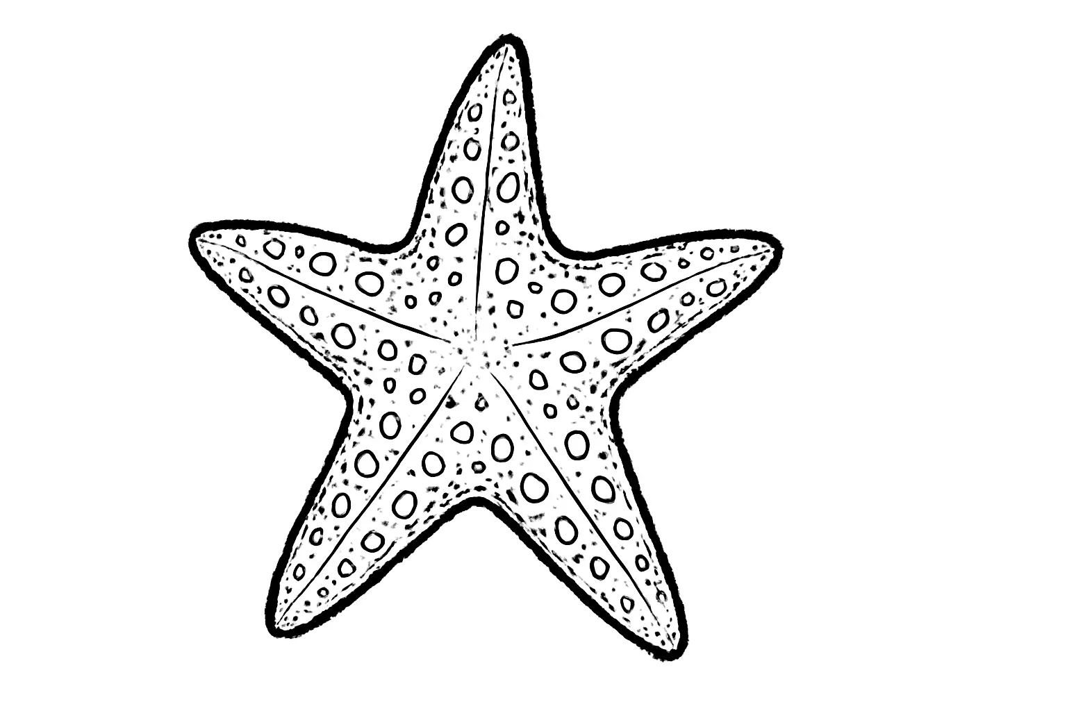 Starfish with Dots – Easy Ocean Coloring Page