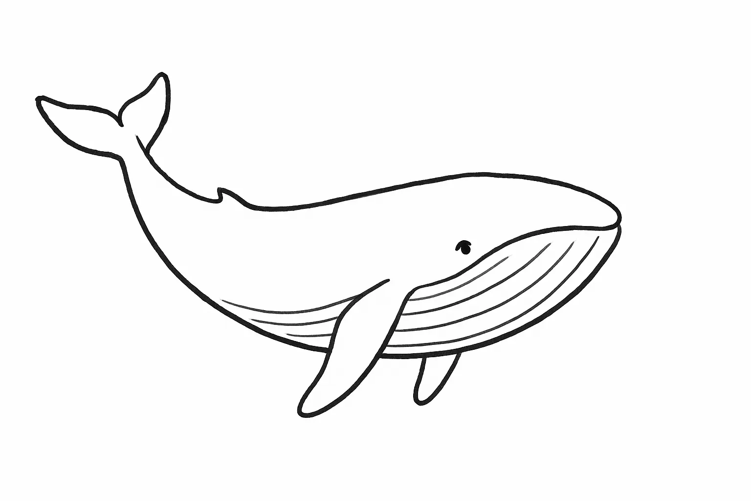 Whale Coloring Page – Free Printable PDF
