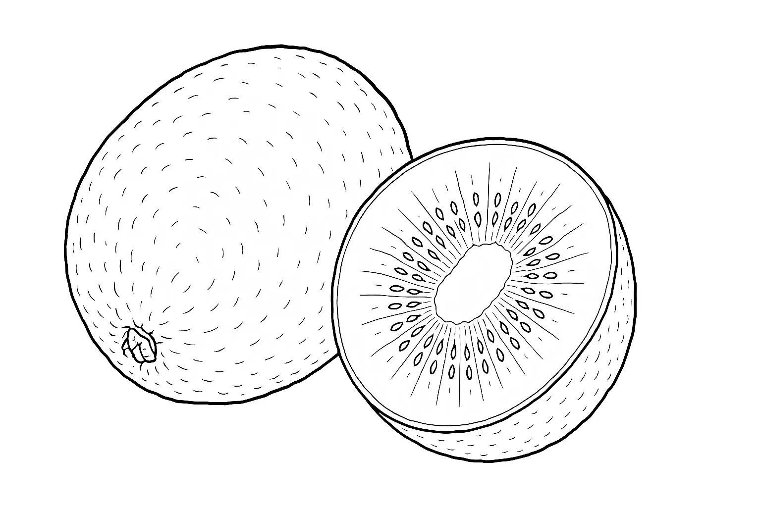 Kiwi Coloring Page – Create and Color Fruit