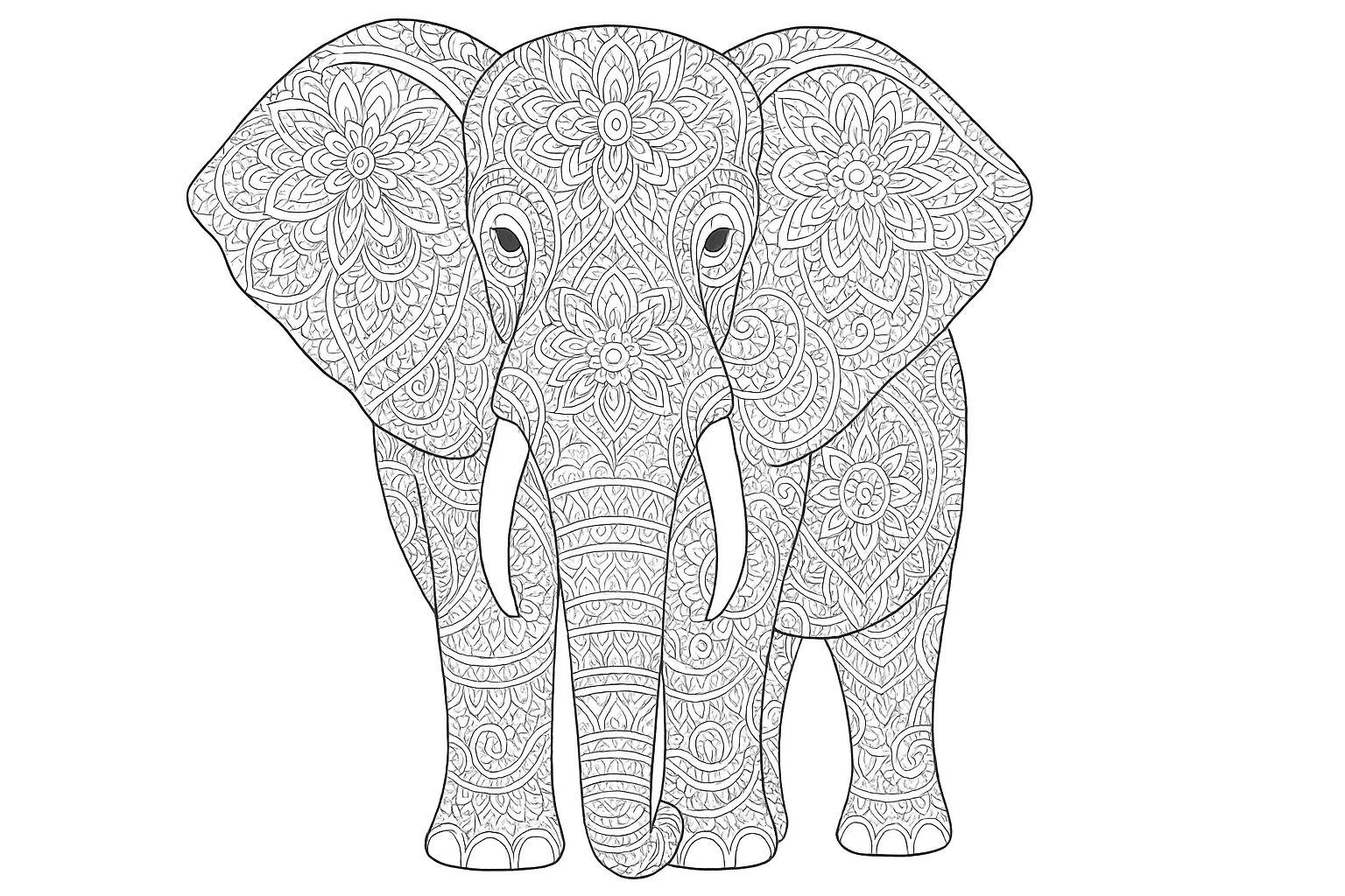 Elephant Front View with Fine Ornaments