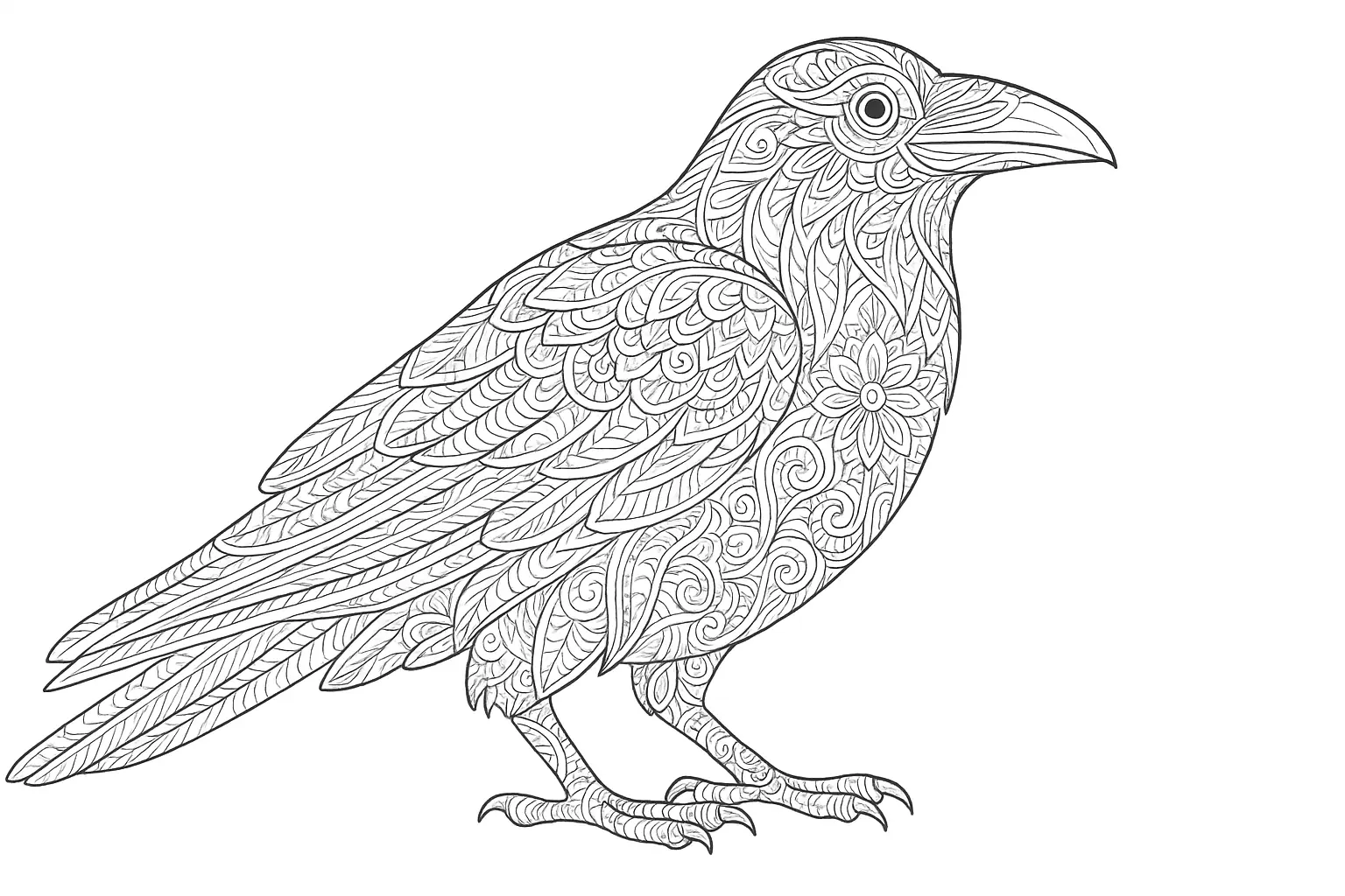 Raven as Detailed Coloring Page