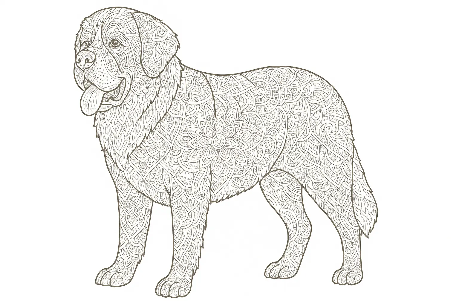 Saint Bernard as Detailed Coloring Page