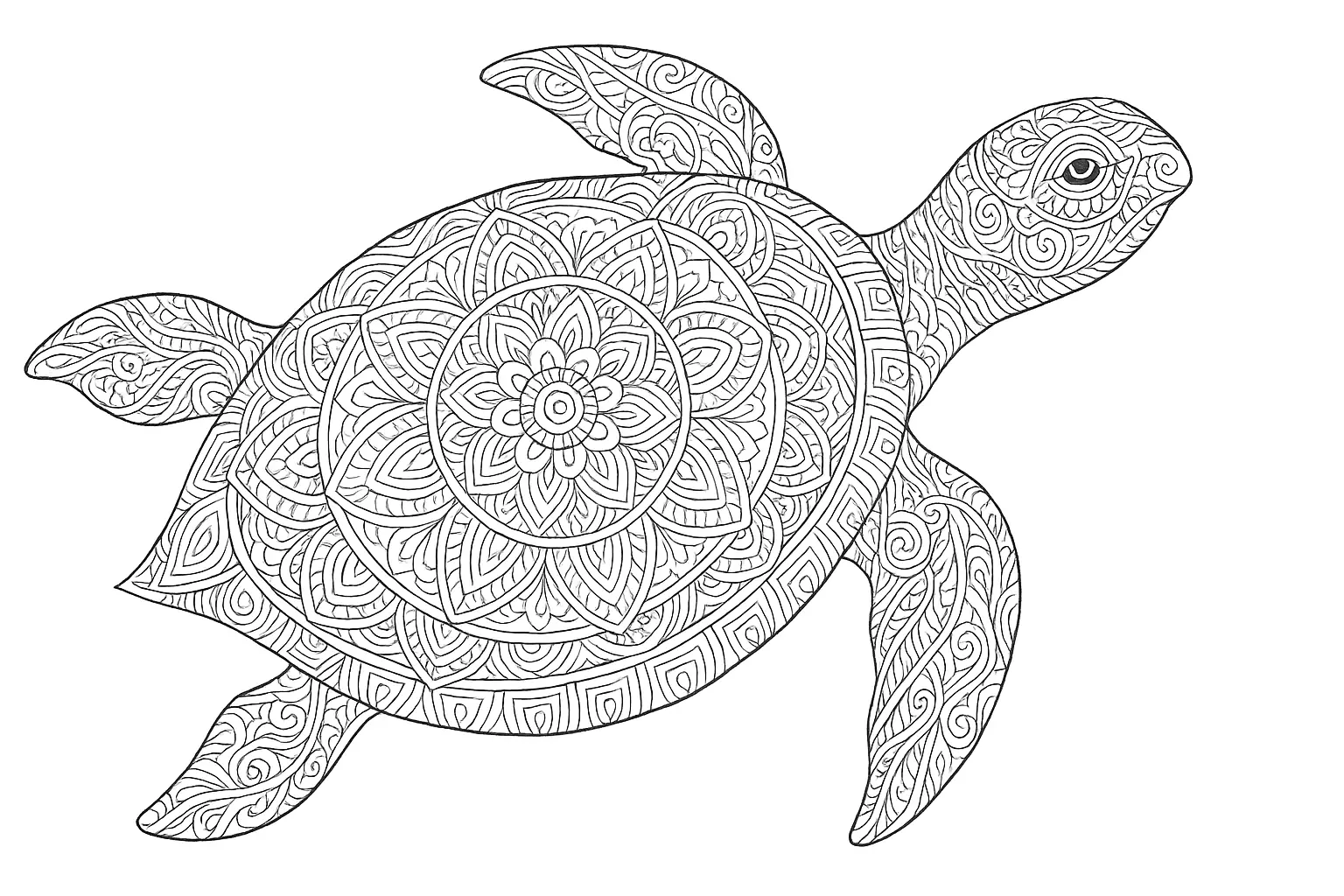 Turtle with Beautiful Ornaments